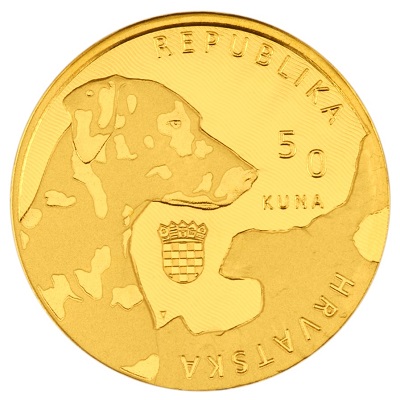 zlatnik-dalmatinski-pas-1