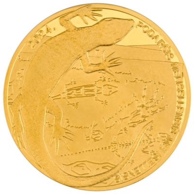 1/16 unce zlata | Crna gušterica + kutija